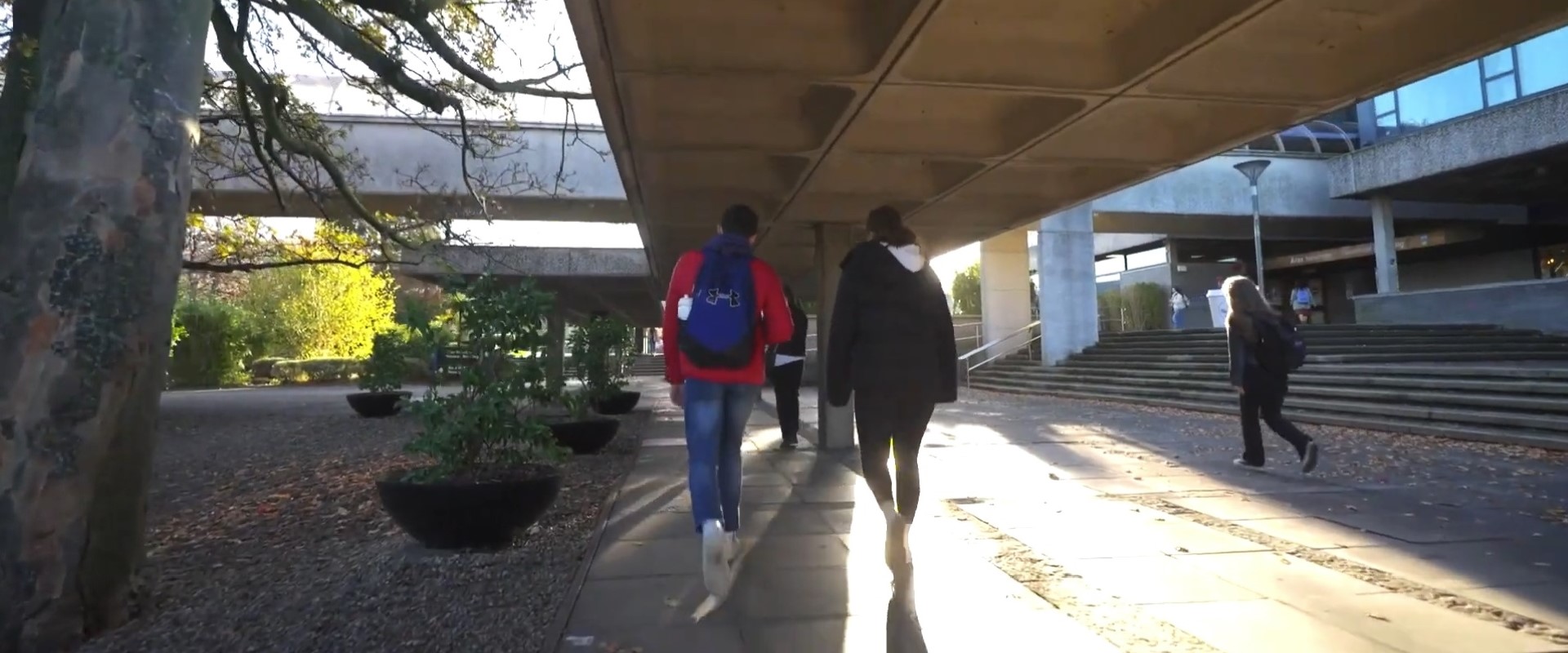 January Start Courses